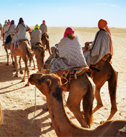 1 day camel ride