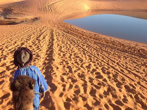 Sahara - Travels - Desert