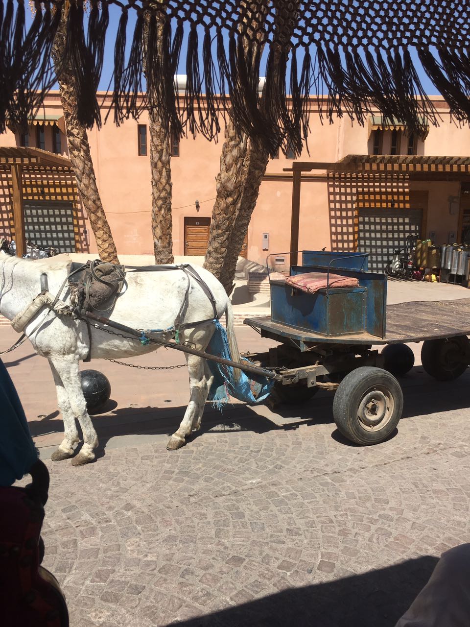 Marrakech - Destinations - Morocco