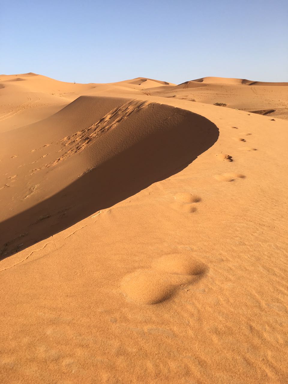 Tours Morocco Sahara