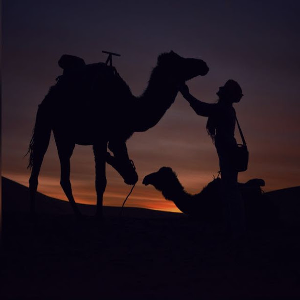 Morocco - Sahara - Trips