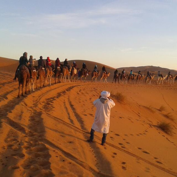 Tours - Travels - Sahara