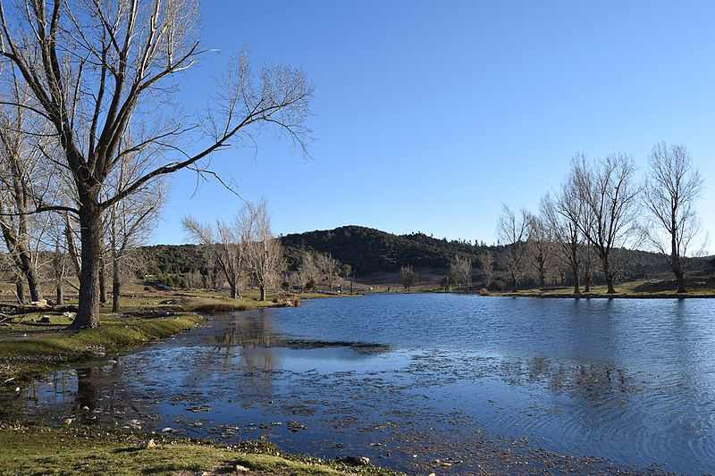 IFRANE - TOURS OF MOROCCO